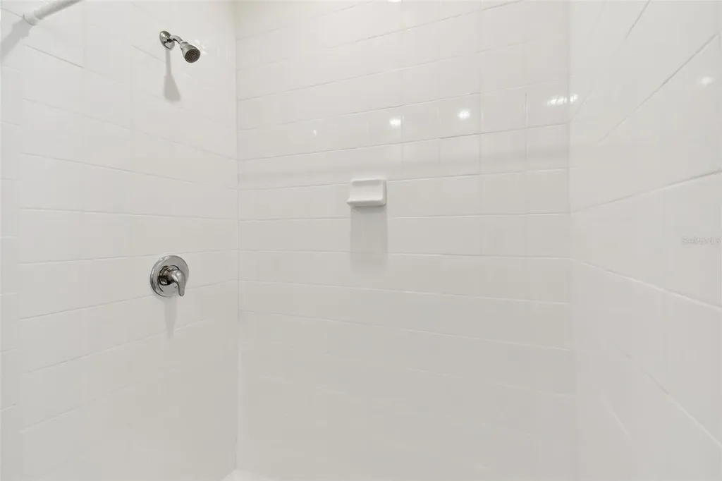 33405 Hamilton Hill Lane Wesley Chapel FL 33545