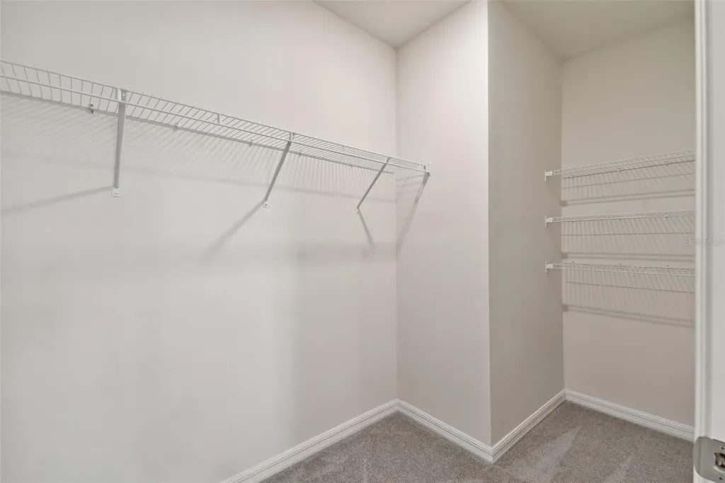 33405 Hamilton Hill Lane Wesley Chapel FL 33545