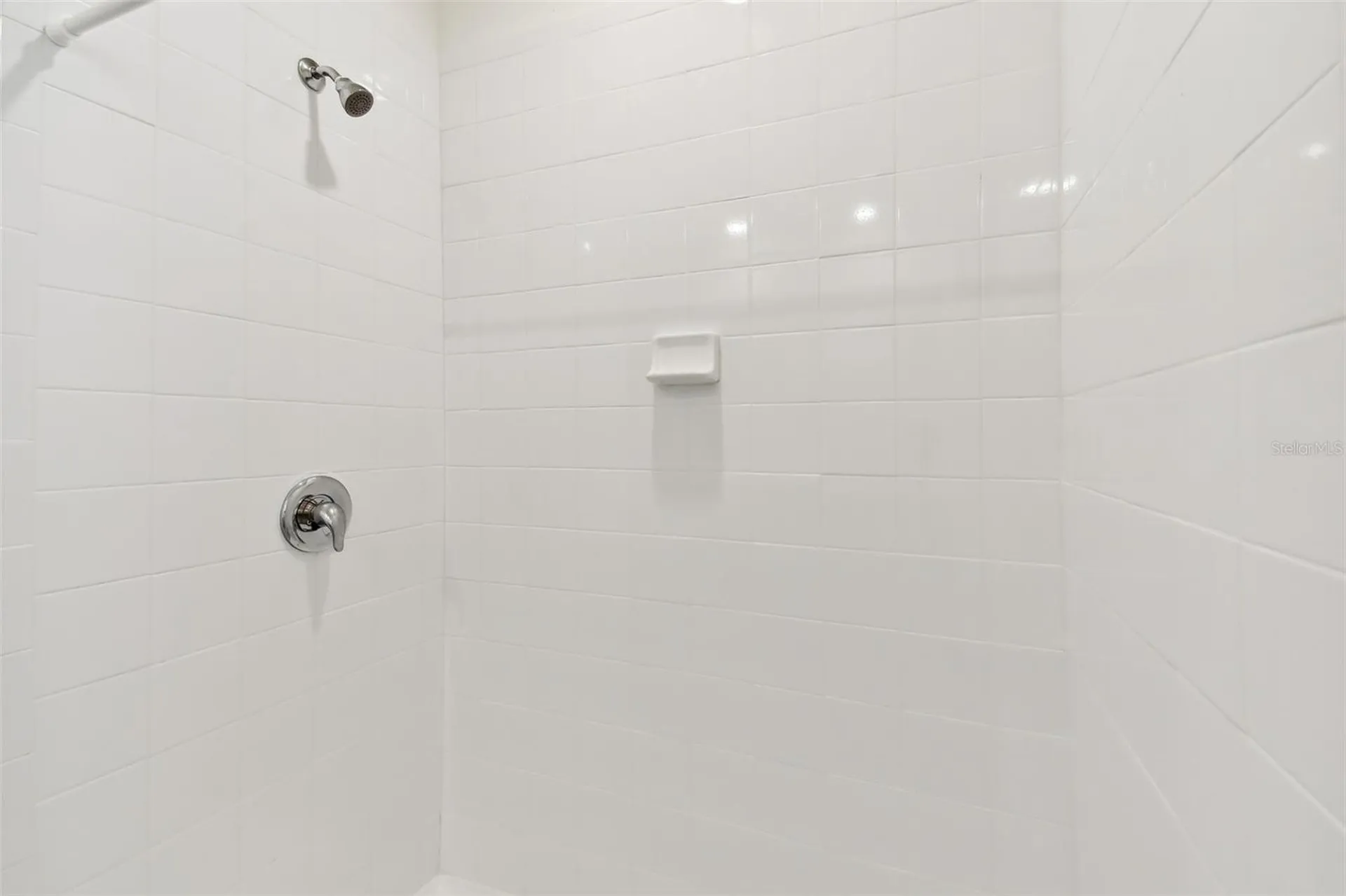 33405 Hamilton Hill Lane Wesley Chapel FL 33545