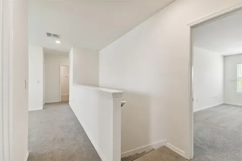 33405 Hamilton Hill Lane Wesley Chapel FL 33545