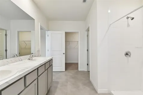 33405 Hamilton Hill Lane Wesley Chapel FL 33545