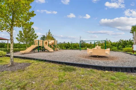 33405 Hamilton Hill Lane Wesley Chapel FL 33545