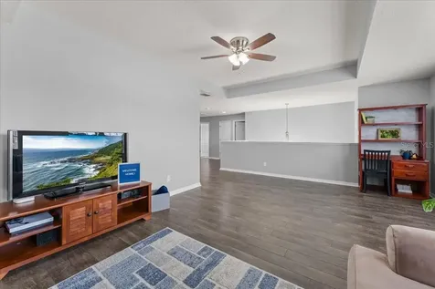 1675 Feather Grass Loop Lutz FL 33558