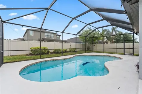 1675 Feather Grass Loop Lutz FL 33558