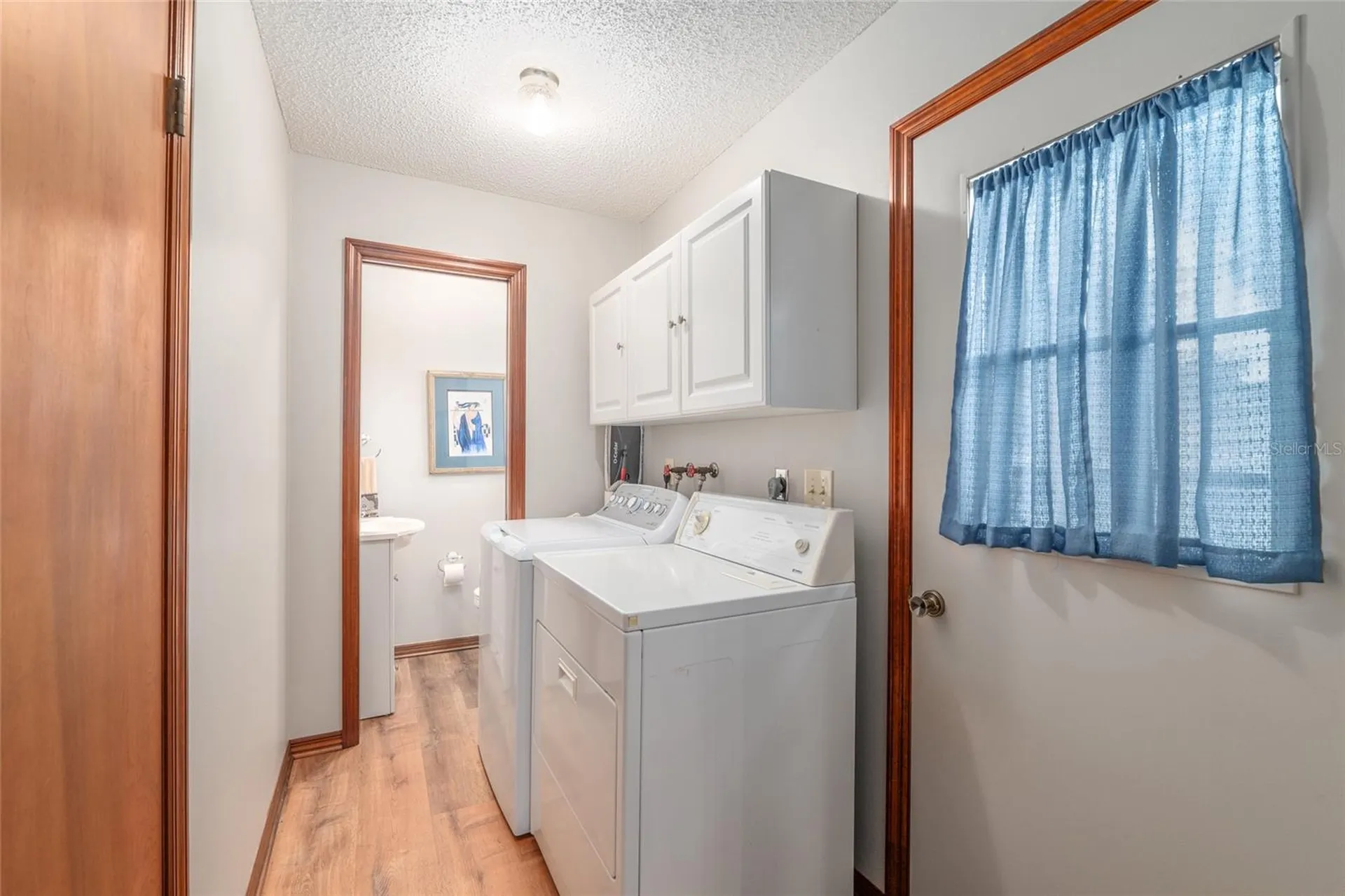 38845 Ella Drive Lady Lake FL 32159