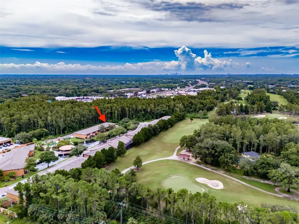 14643 Par Club Circle Tampa FL 33618