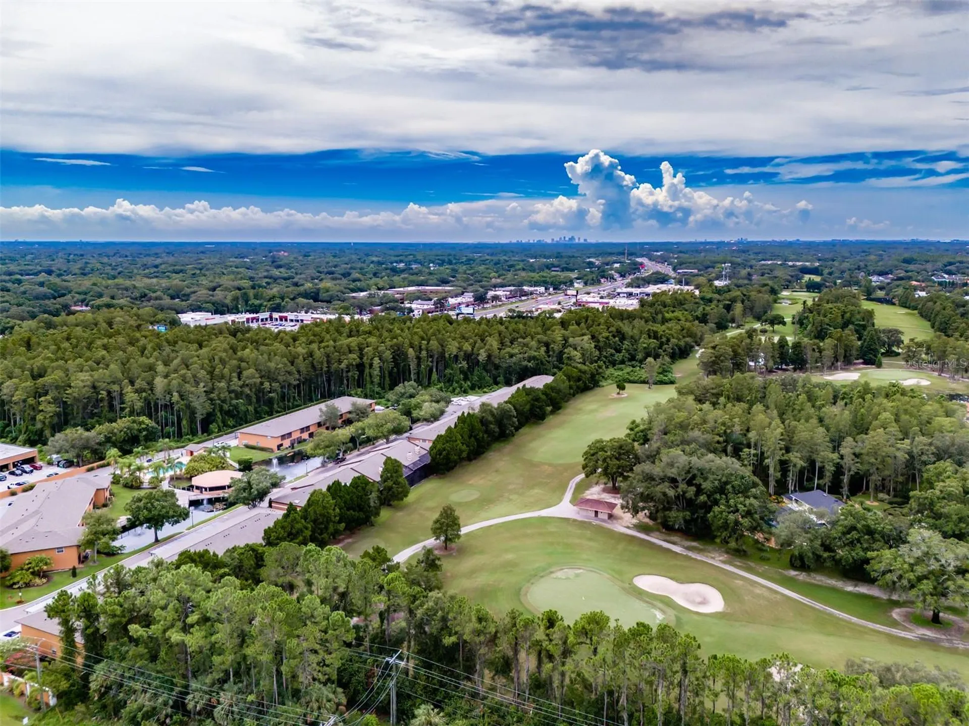 14643 Par Club Circle Tampa FL 33618