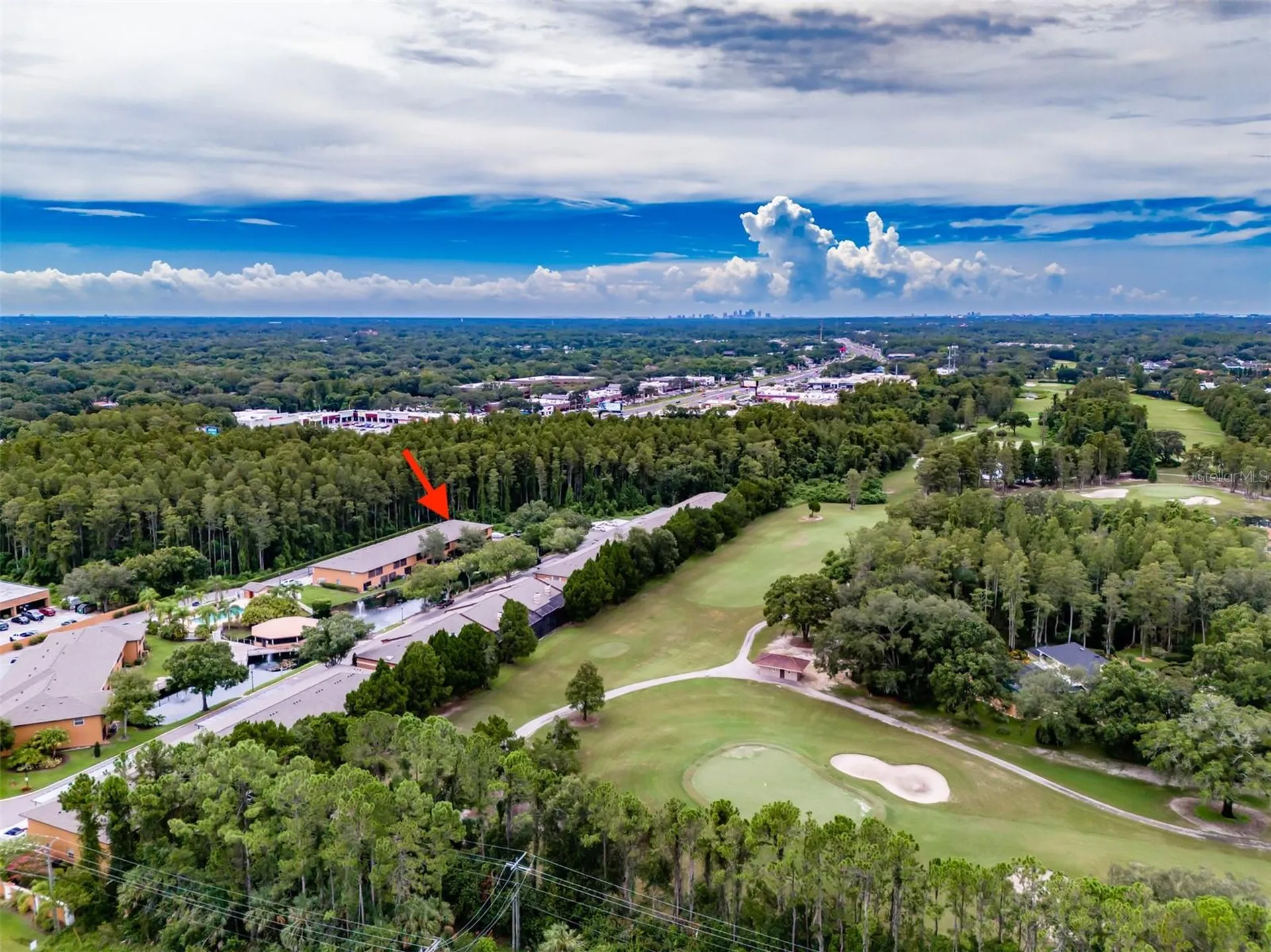 14643 Par Club Circle Tampa FL 33618