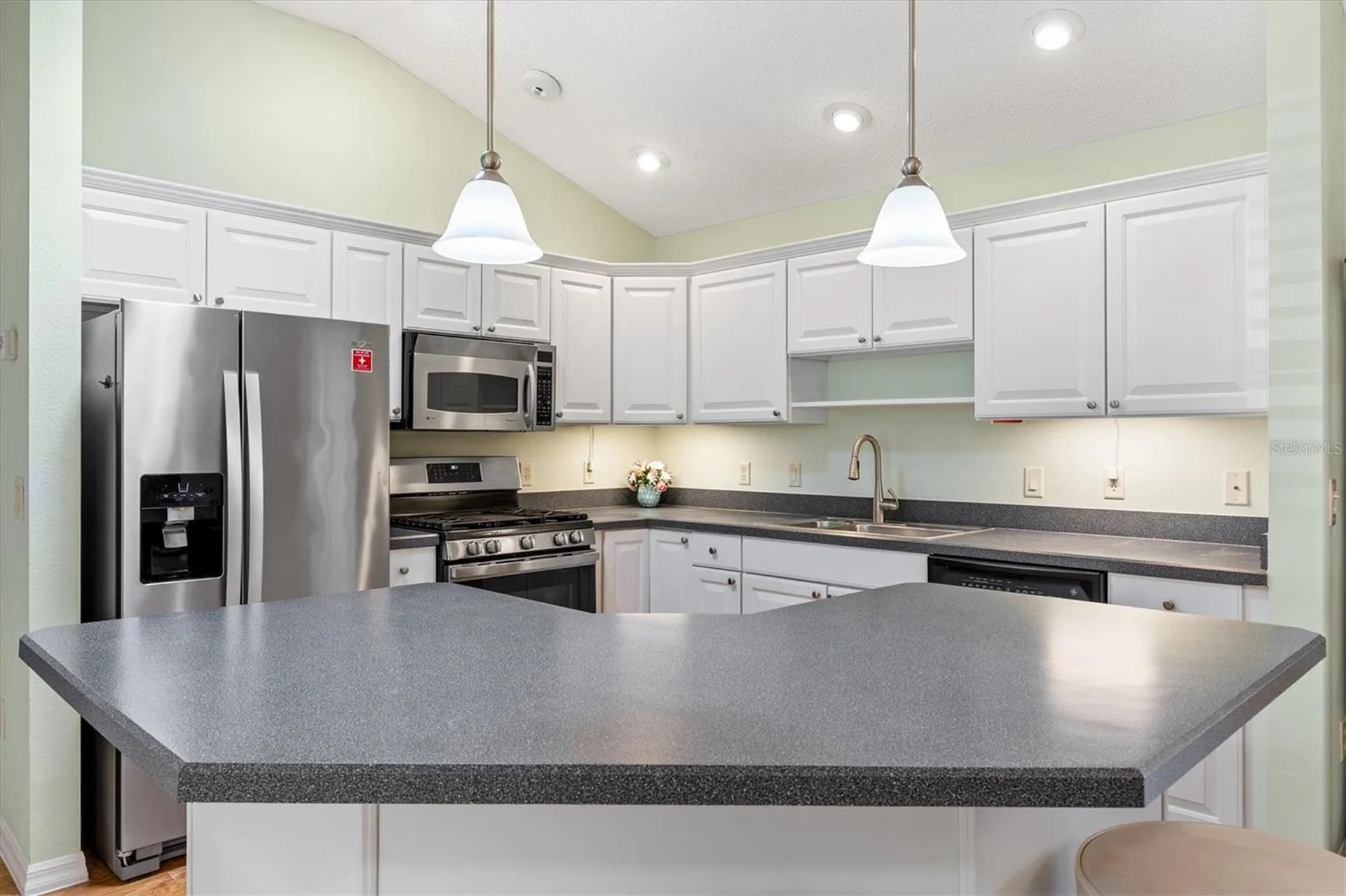 2725 Morven Park Way The Villages FL 32162