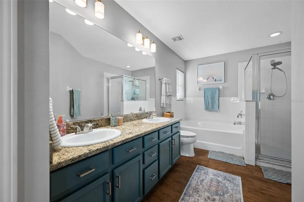 10031 Creek Bluff Drive Riverview FL 33578