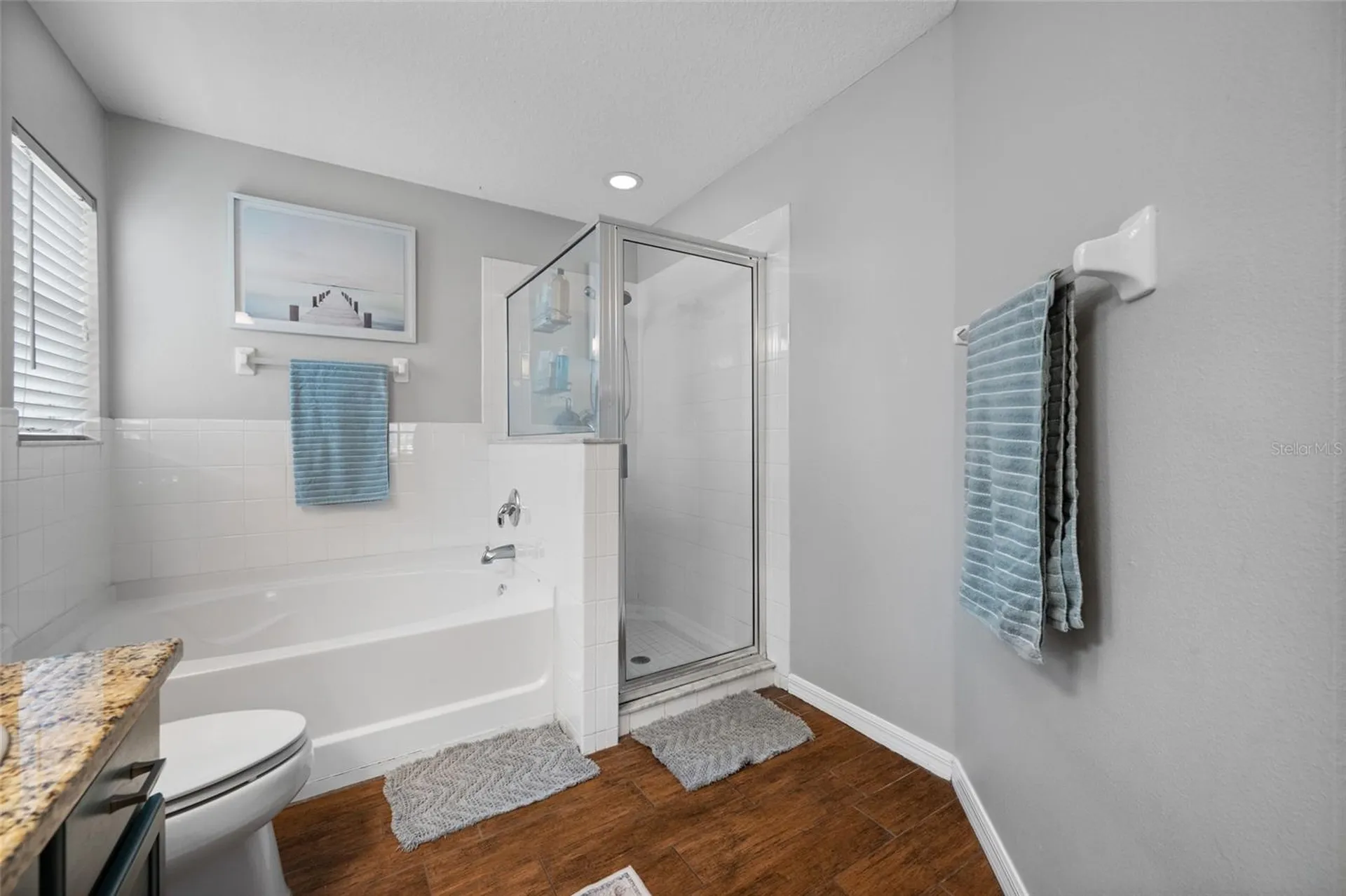 10031 Creek Bluff Drive Riverview FL 33578