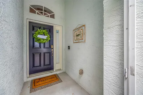 10031 Creek Bluff Drive Riverview FL 33578
