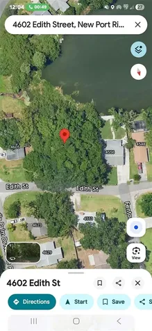 4602 Edith Street New Port Richey FL 34652