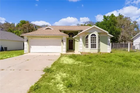 40045 Palm Street Lady Lake FL 32159
