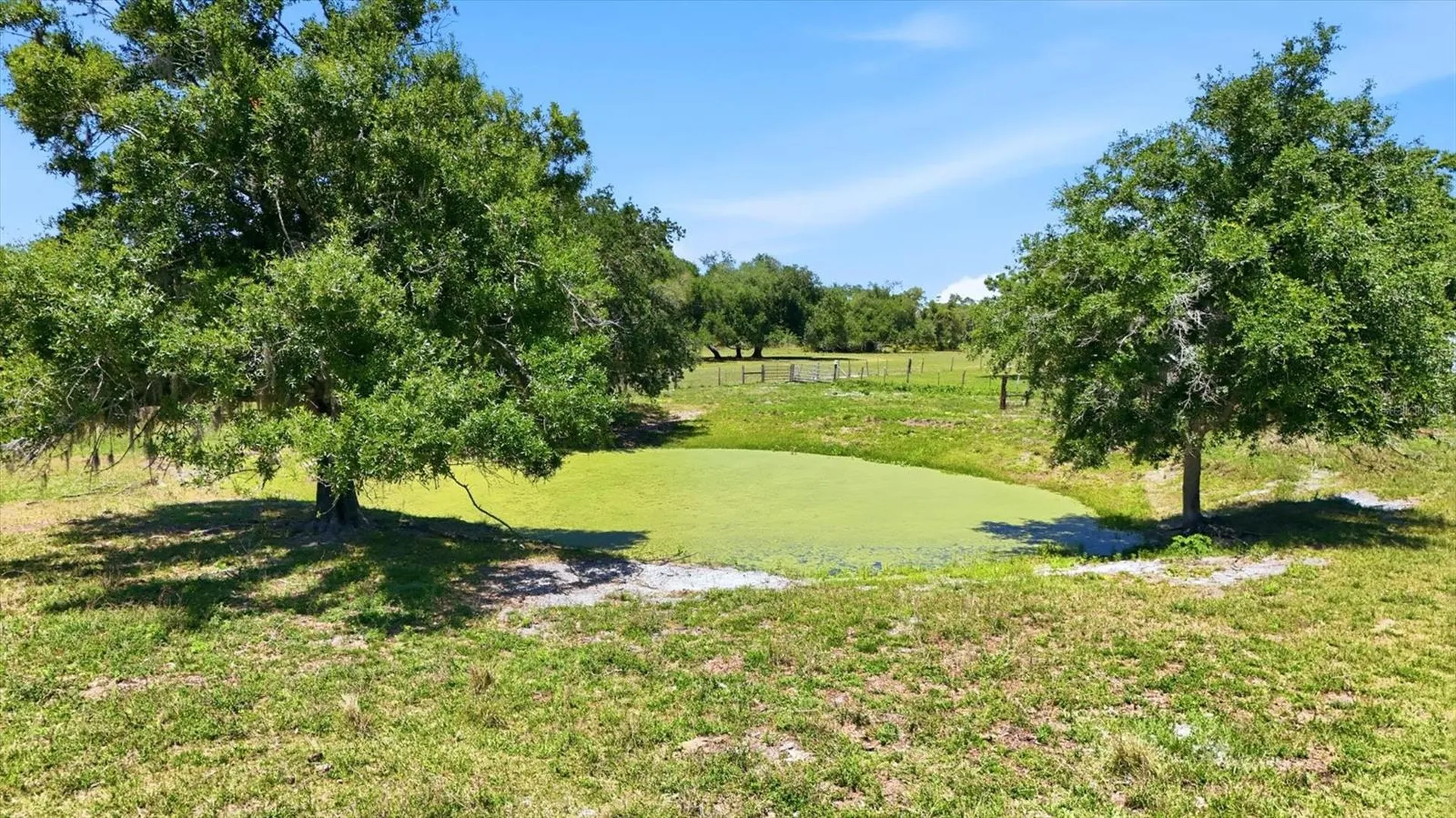 30981 Singletary Road Myakka City FL 34251