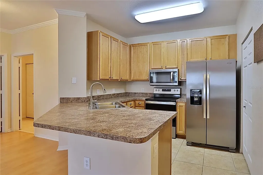 2407 Courtney Meadows Court Tampa FL 33619