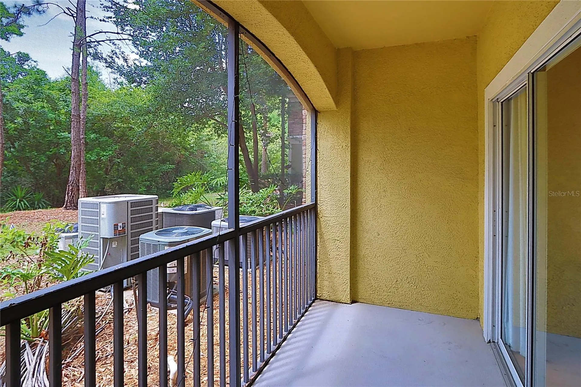 2407 Courtney Meadows Court Tampa FL 33619