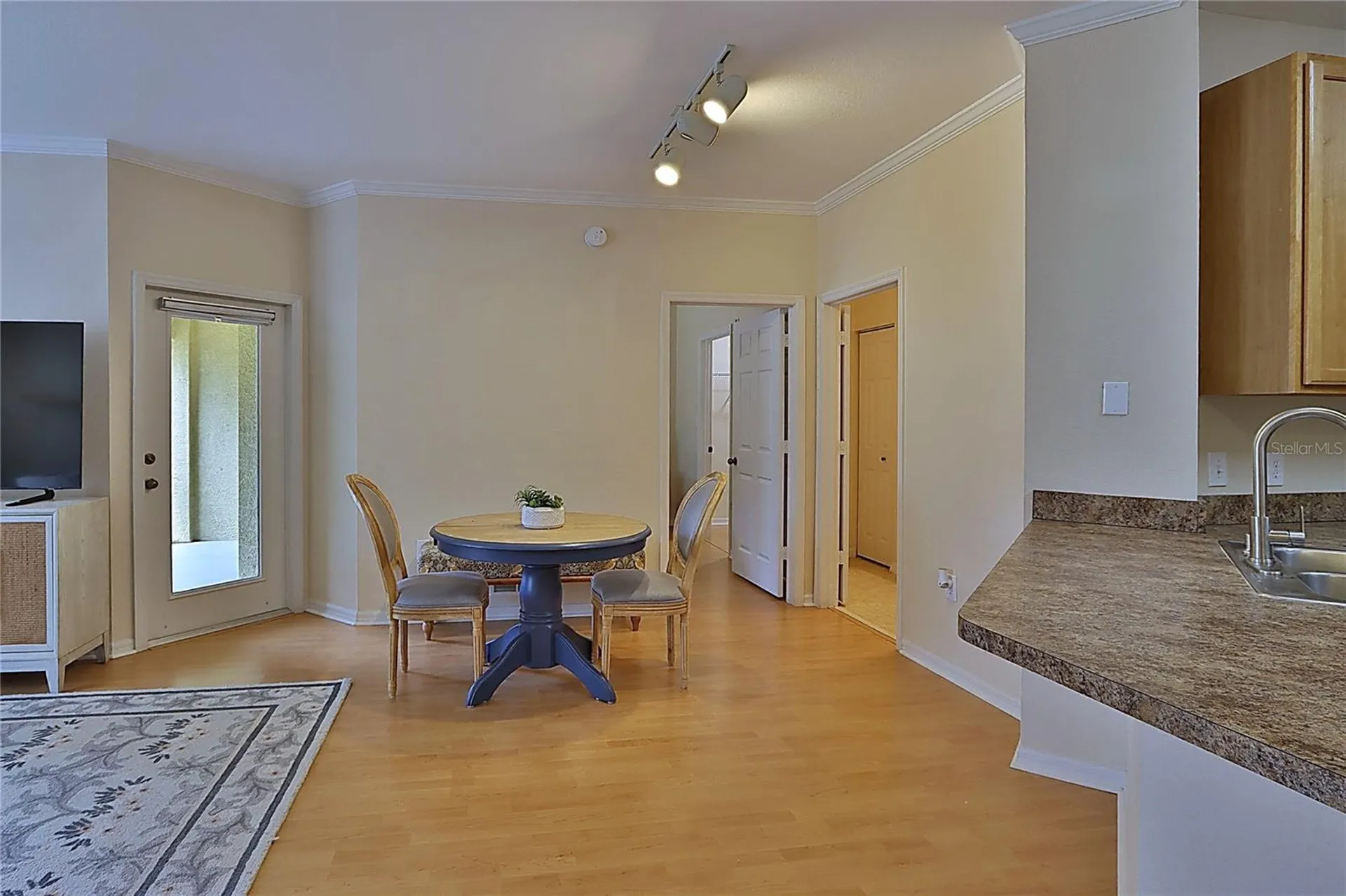 2407 Courtney Meadows Court Tampa FL 33619