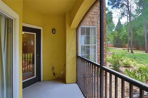 2407 Courtney Meadows Court Tampa FL 33619