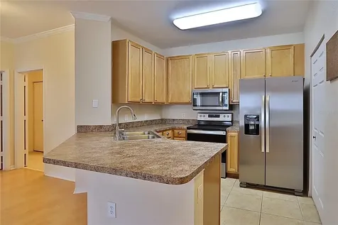 2407 Courtney Meadows Court Tampa FL 33619