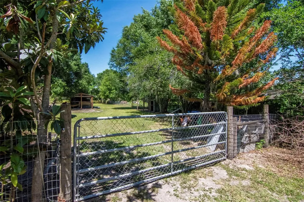 6230 Bob Head Road Plant City FL 33565