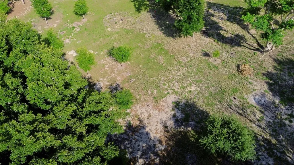 0 Tomato Hill Road Leesburg FL 34748
