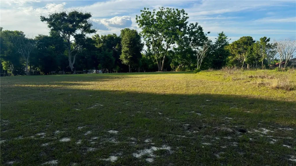 0 Tomato Hill Road Leesburg FL 34748