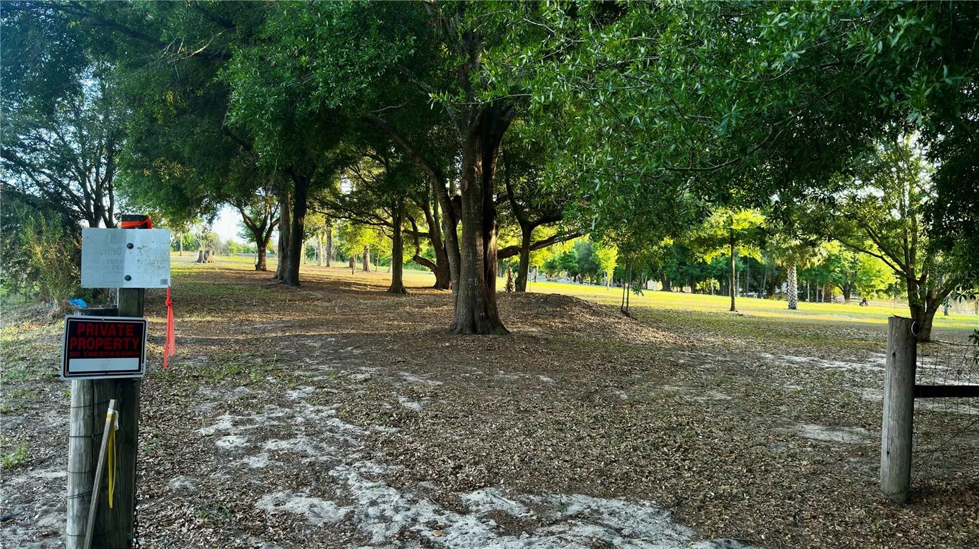 0 Tomato Hill Road Leesburg FL 34748