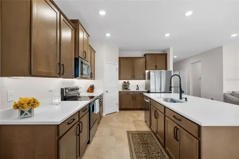32516 Osprey Peak Way San Antonio FL 33576