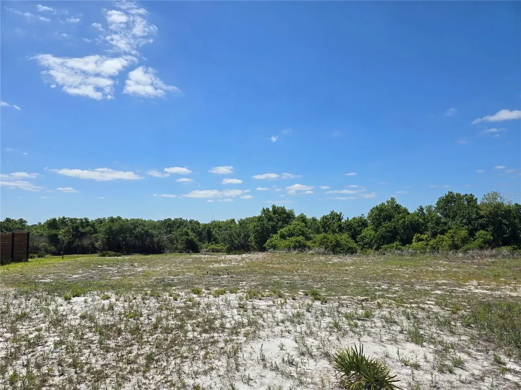 5120 Lake Toscana Drive Wimauma FL 33598