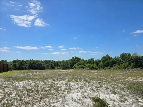 5120 Lake Toscana Drive Wimauma FL 33598