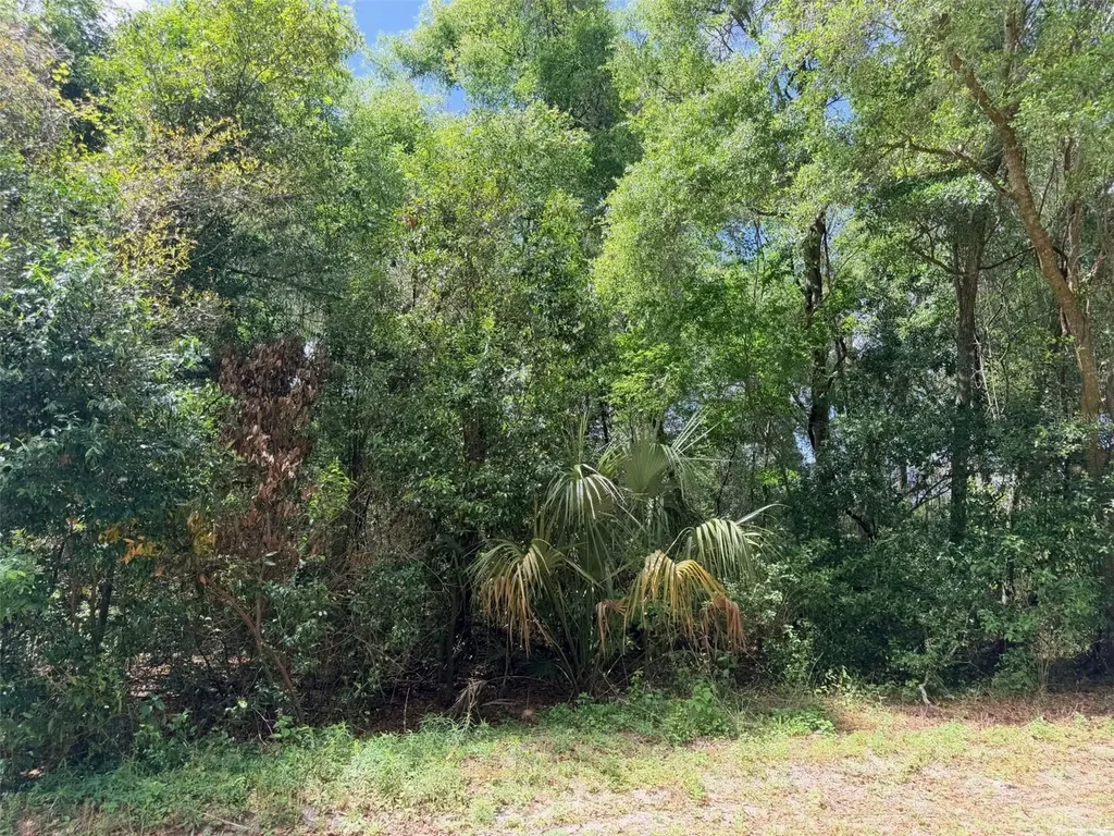 17170 NW 73rd Terrace Trenton FL 32693