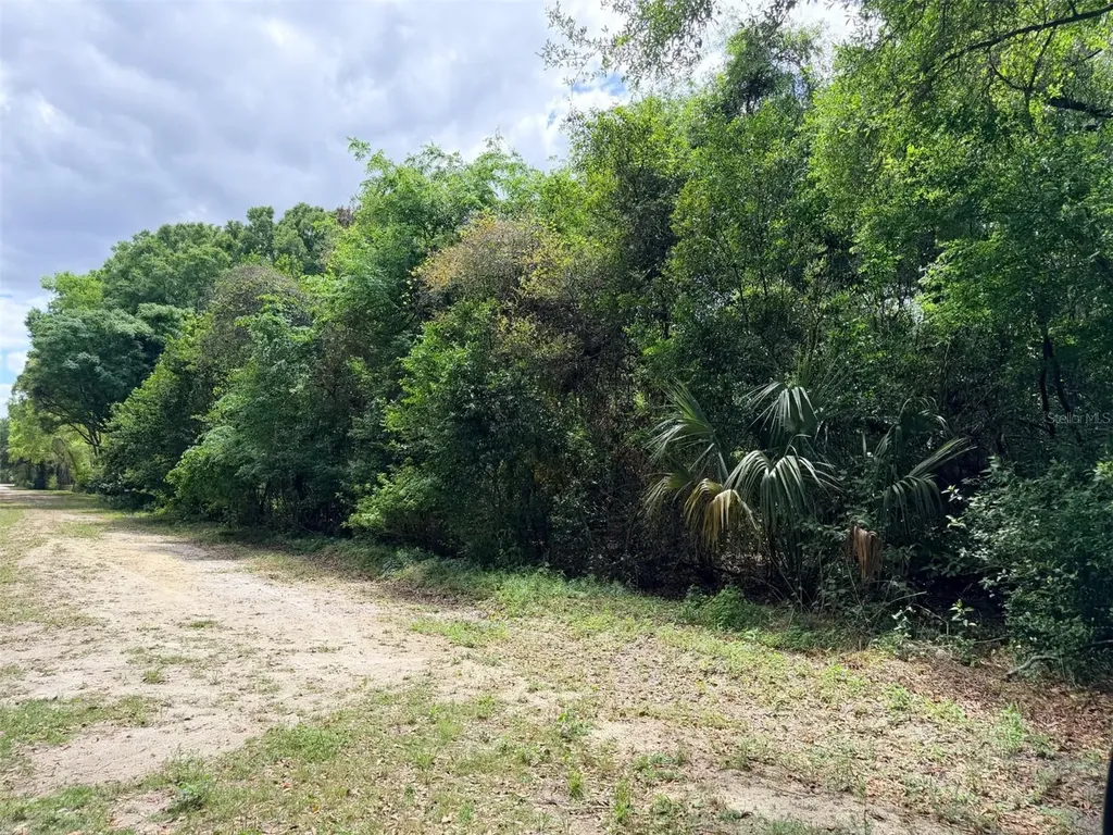 17170 NW 73rd Terrace Trenton FL 32693