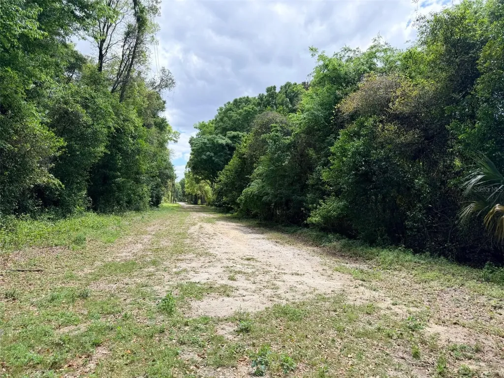 17170 NW 73rd Terrace Trenton FL 32693