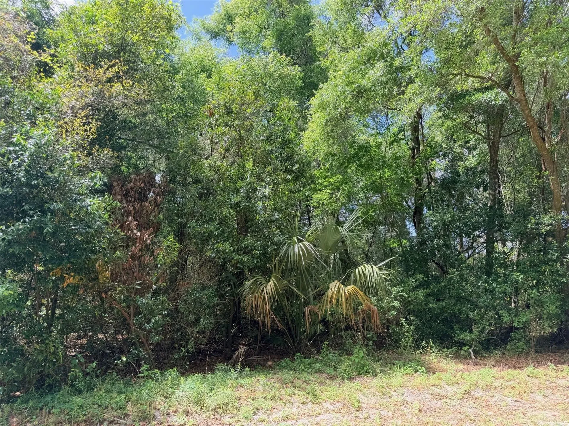 17170 NW 73rd Terrace Trenton FL 32693