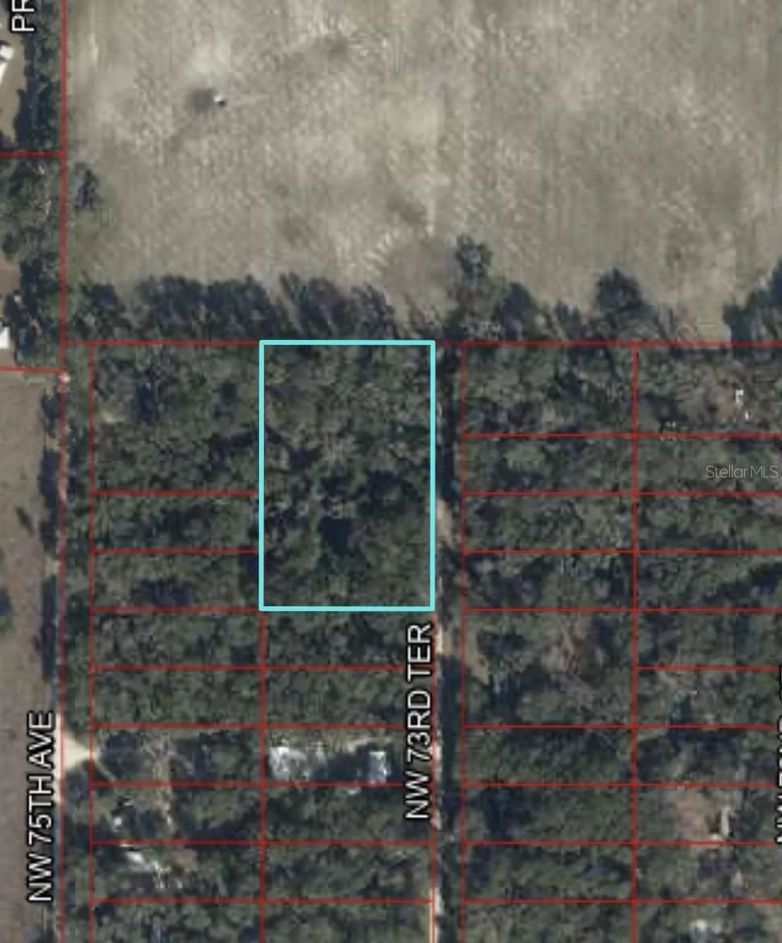 17170 NW 73rd Terrace Trenton FL 32693