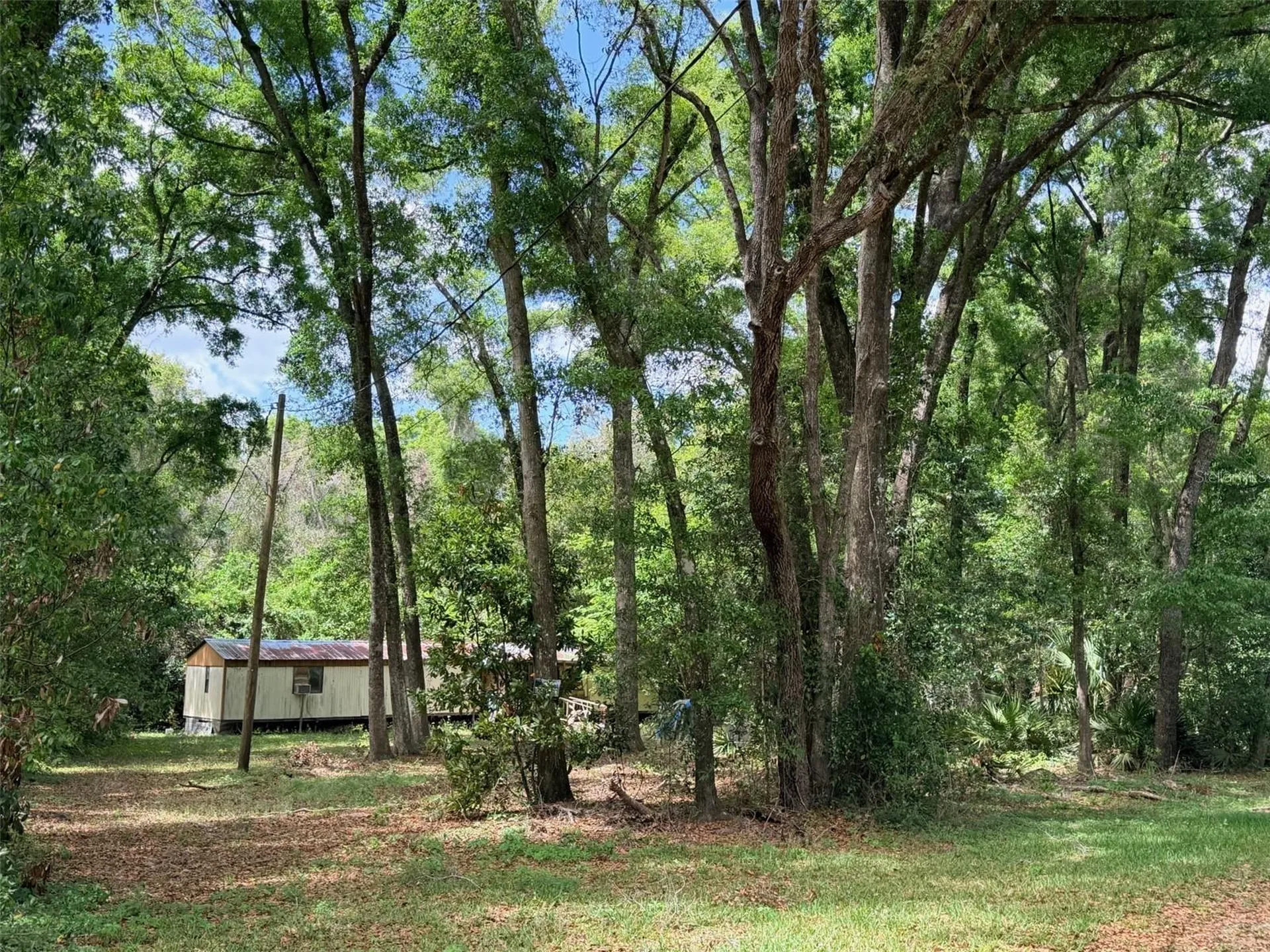 17170 NW 73rd Terrace Trenton FL 32693
