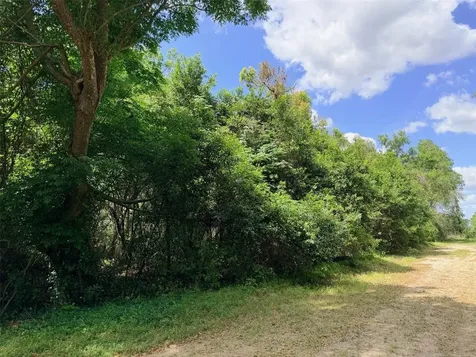17170 NW 73rd Terrace Trenton FL 32693
