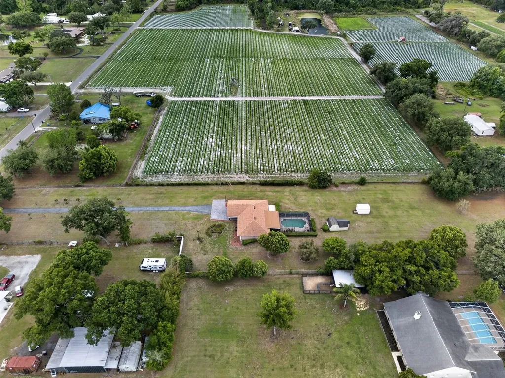 2425 Hawk Griffin Road Plant City FL 33565