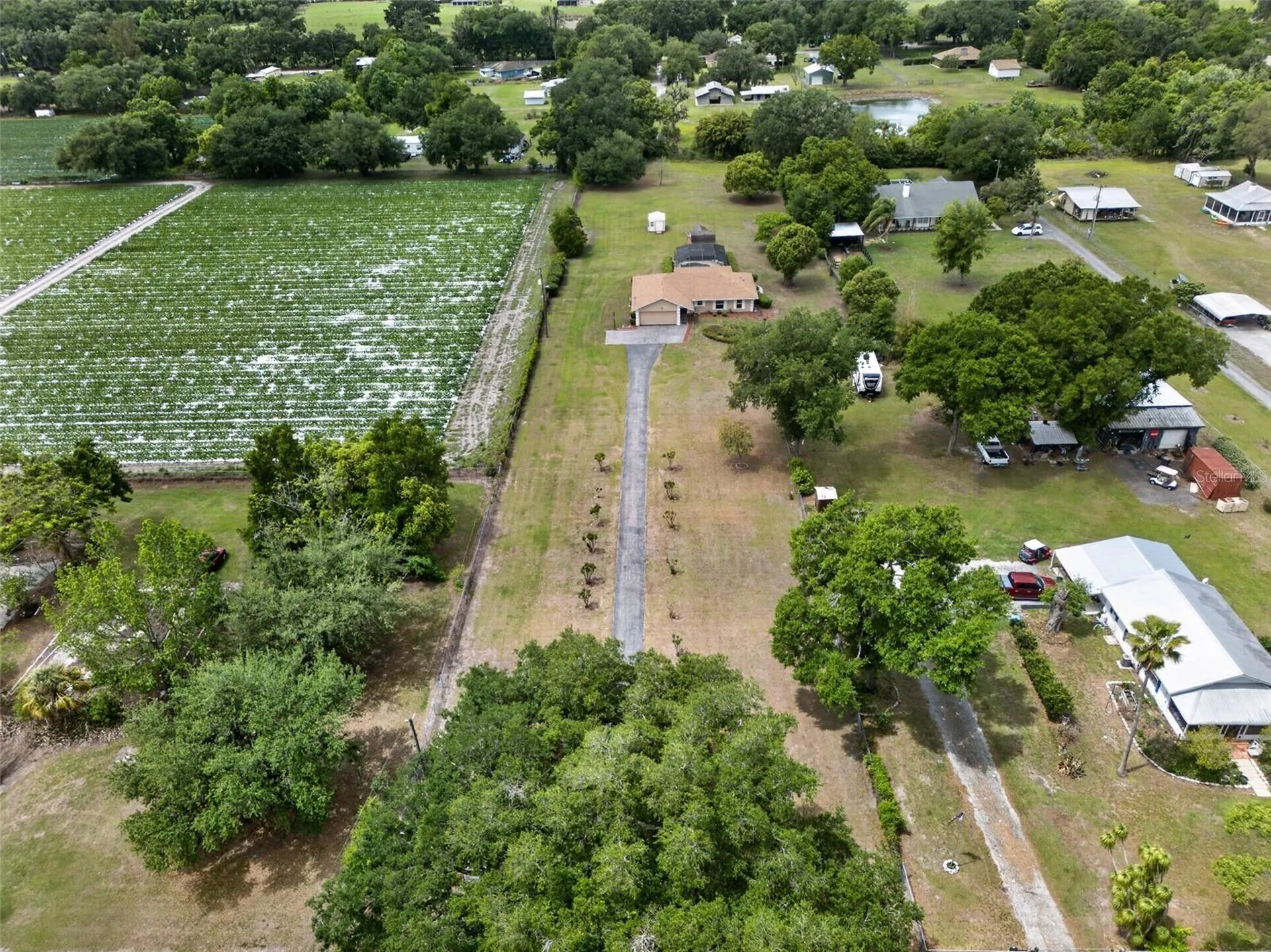 2425 Hawk Griffin Road Plant City FL 33565