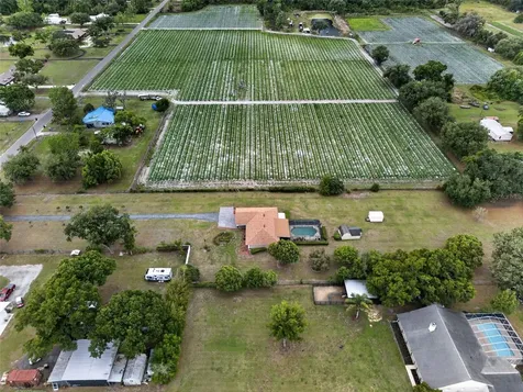 2425 Hawk Griffin Road Plant City FL 33565