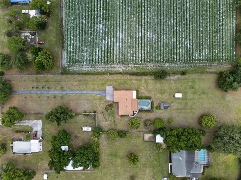 2425 Hawk Griffin Road Plant City FL 33565