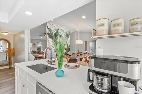 1372 Tenby Way Palm Harbor FL 34683