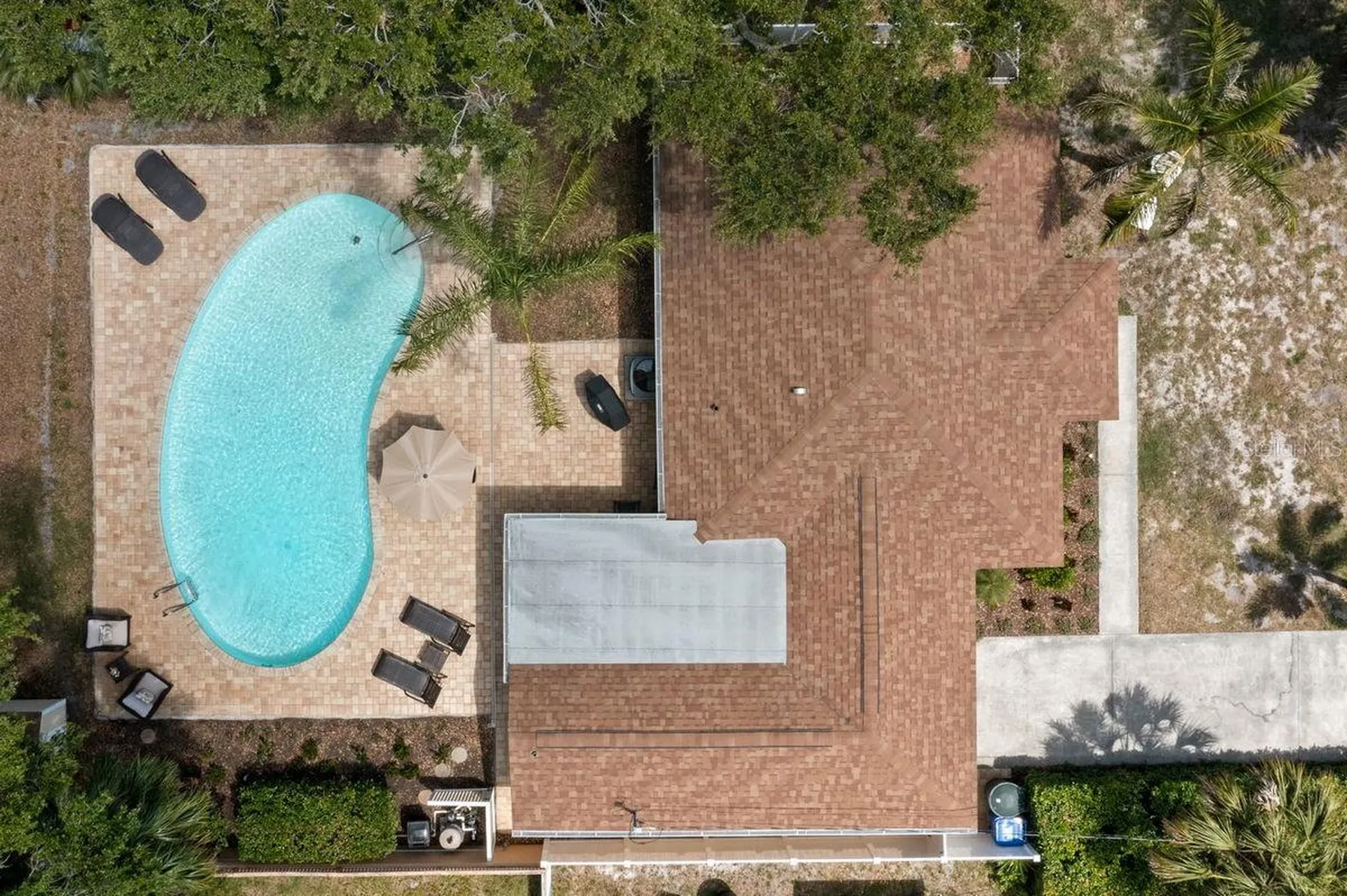 1658 Douglas Avenue Dunedin FL 34698