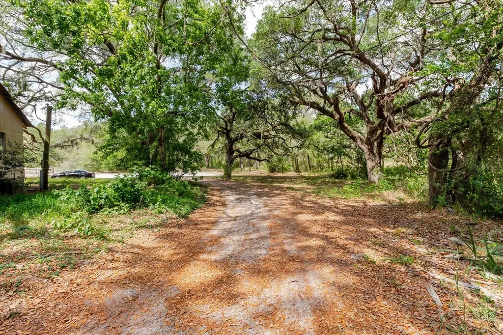 12531 Little Pete Court Hudson FL 34669