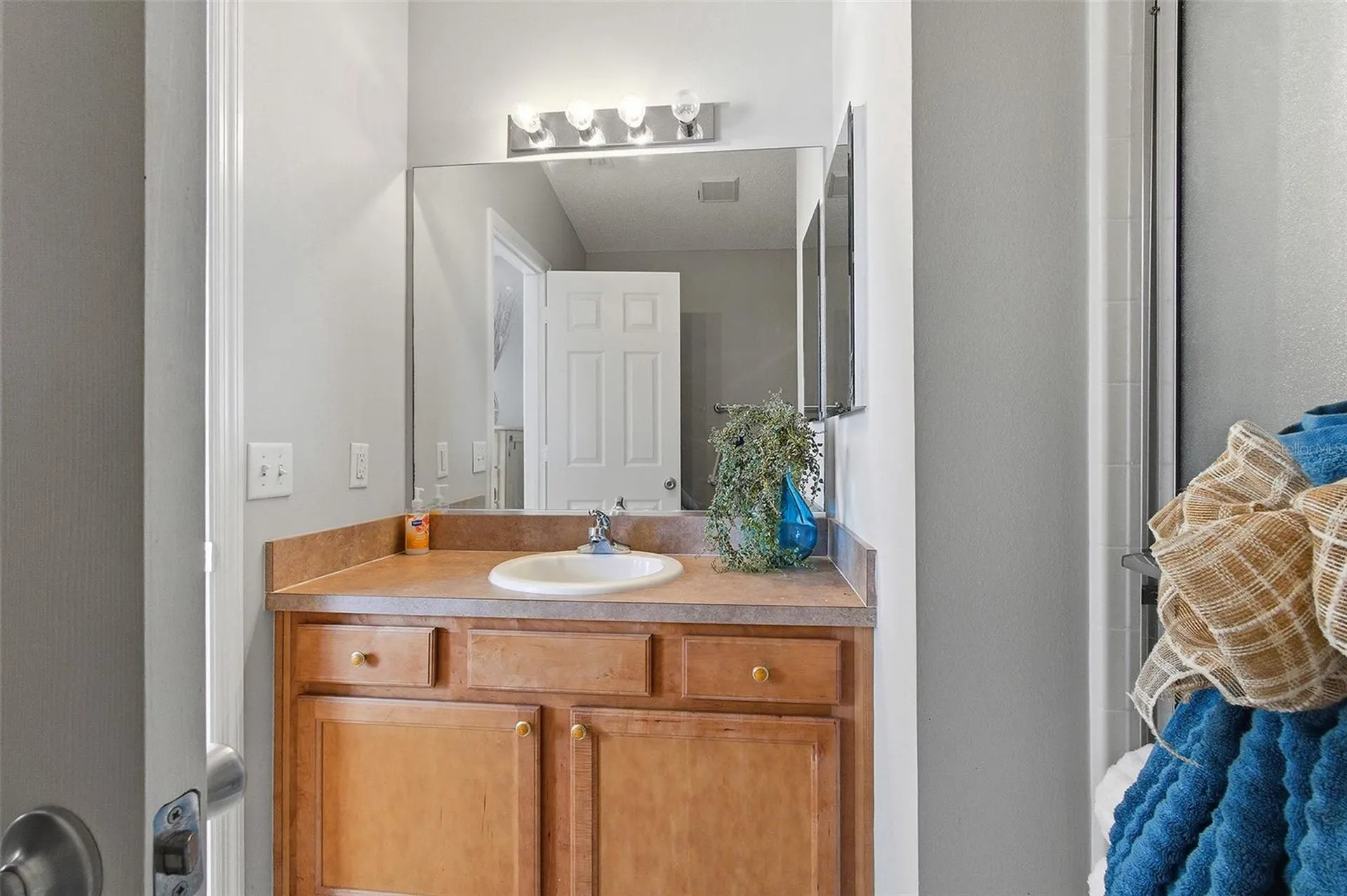324 Emmalee Place The Villages FL 32162