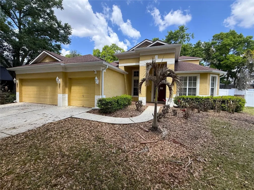 3115 Red Lion Drive Valrico FL 33596