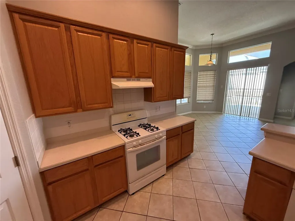 3115 Red Lion Drive Valrico FL 33596