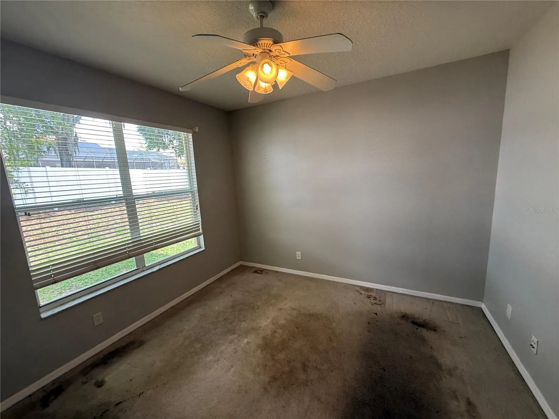 3115 Red Lion Drive Valrico FL 33596