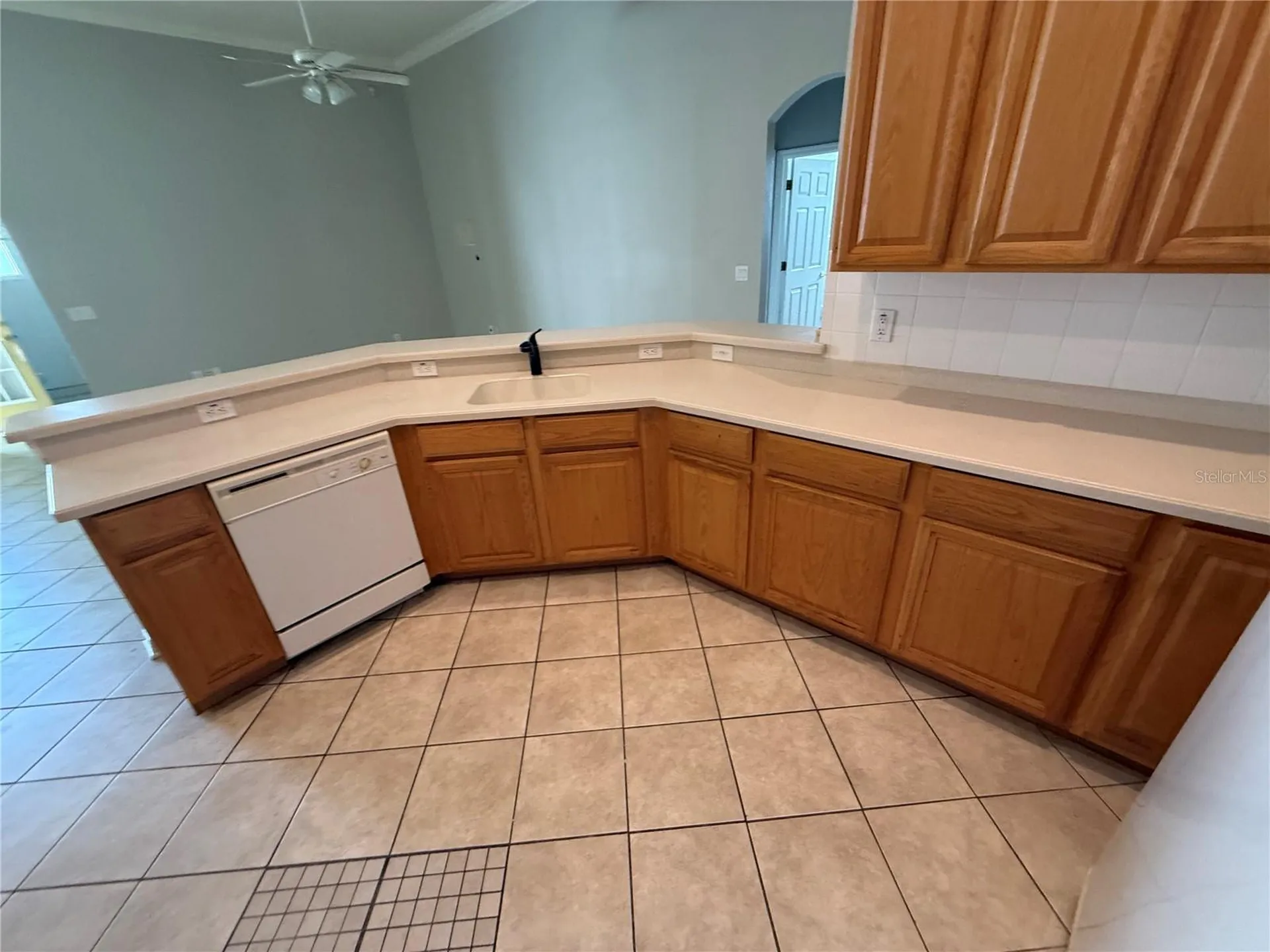 3115 Red Lion Drive Valrico FL 33596